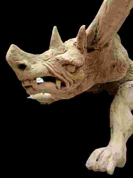 Tribal Art ~ Teak Wood