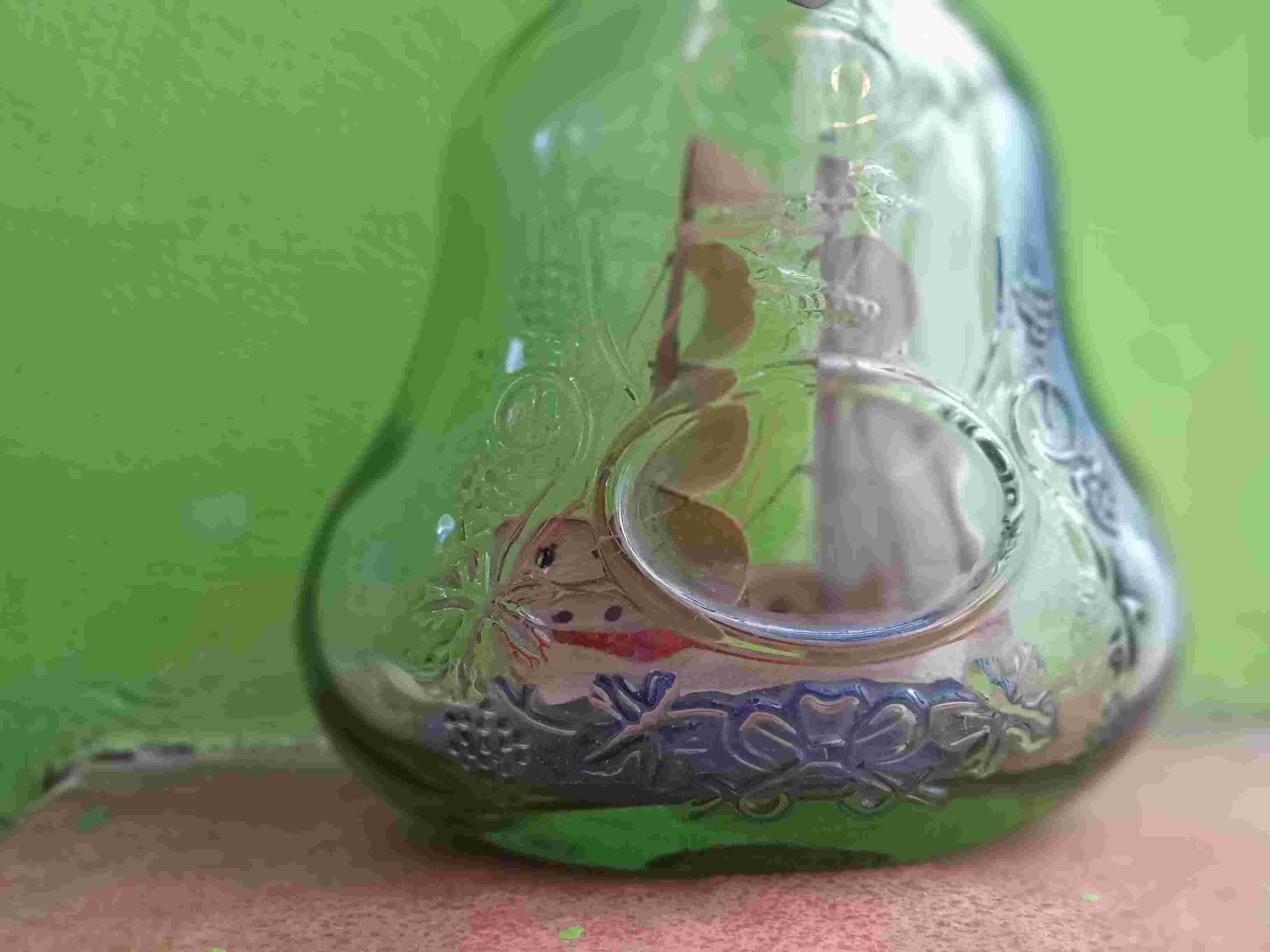 botol Hennessy Cognac