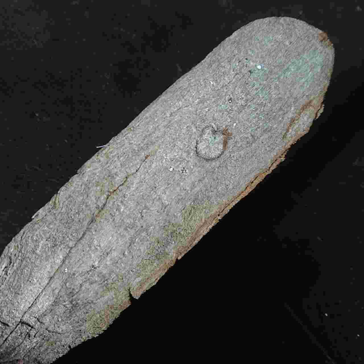 Tombak Kabudhan Sepuh Jalur Khusus Tindih Pemagaran