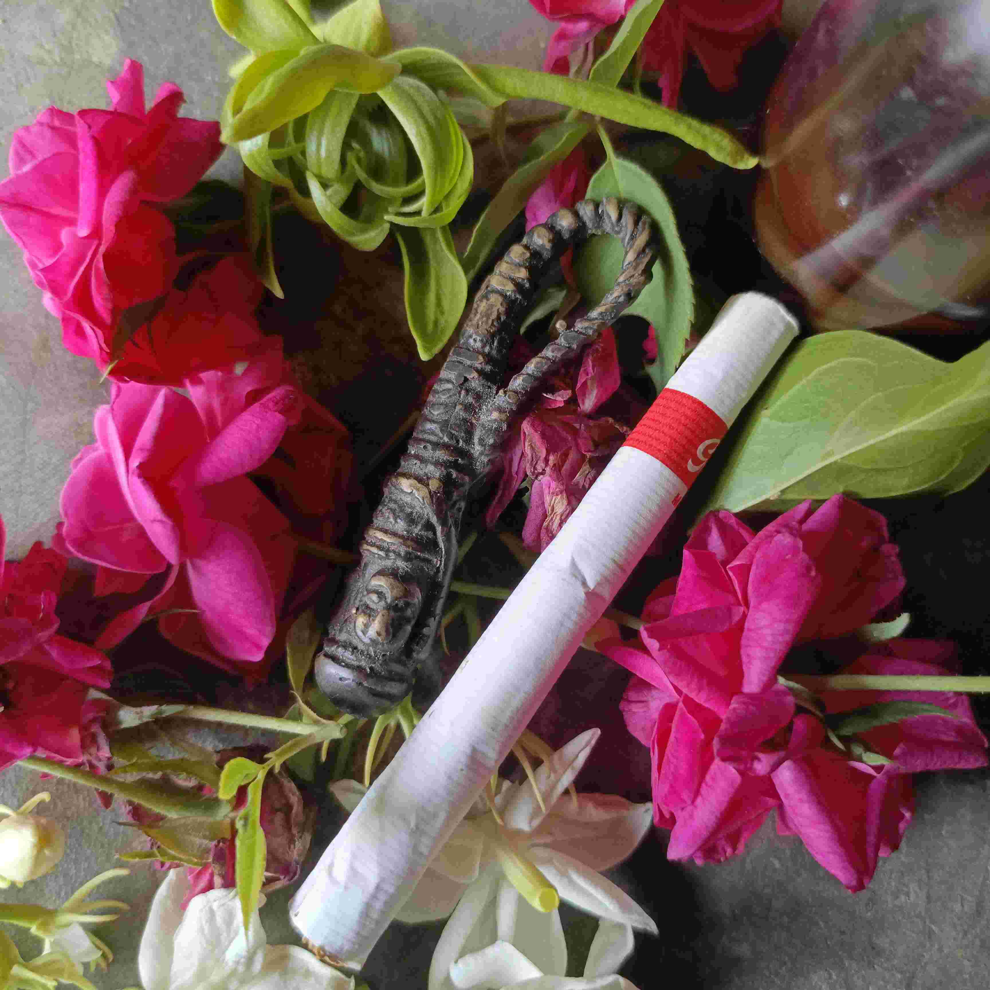 Ageman Cemeti Cemeti Pandito Semedi