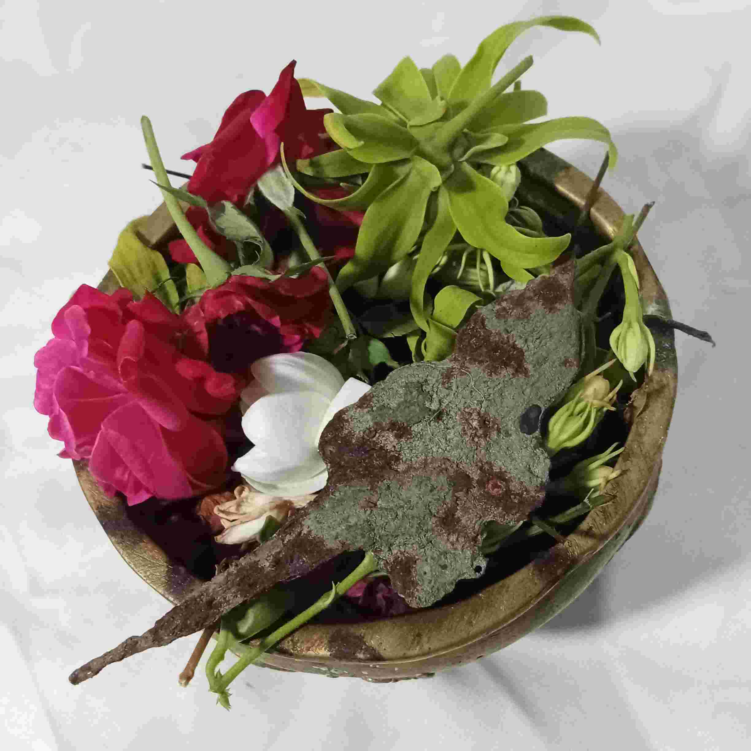 Keris Semar Lungguh Jalur Khusus Asihan Wesiaji Sepuh Asli Alam