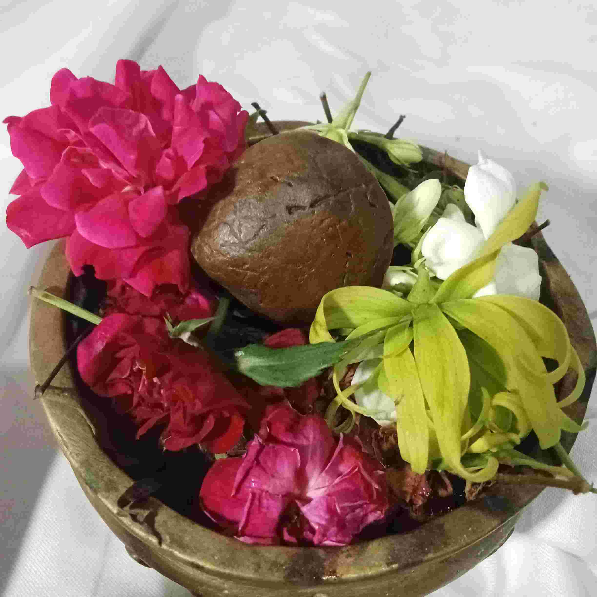 Kijeng Bungkem Ageman Khusus Jalur Pemagaran Bungkem Natural Alam