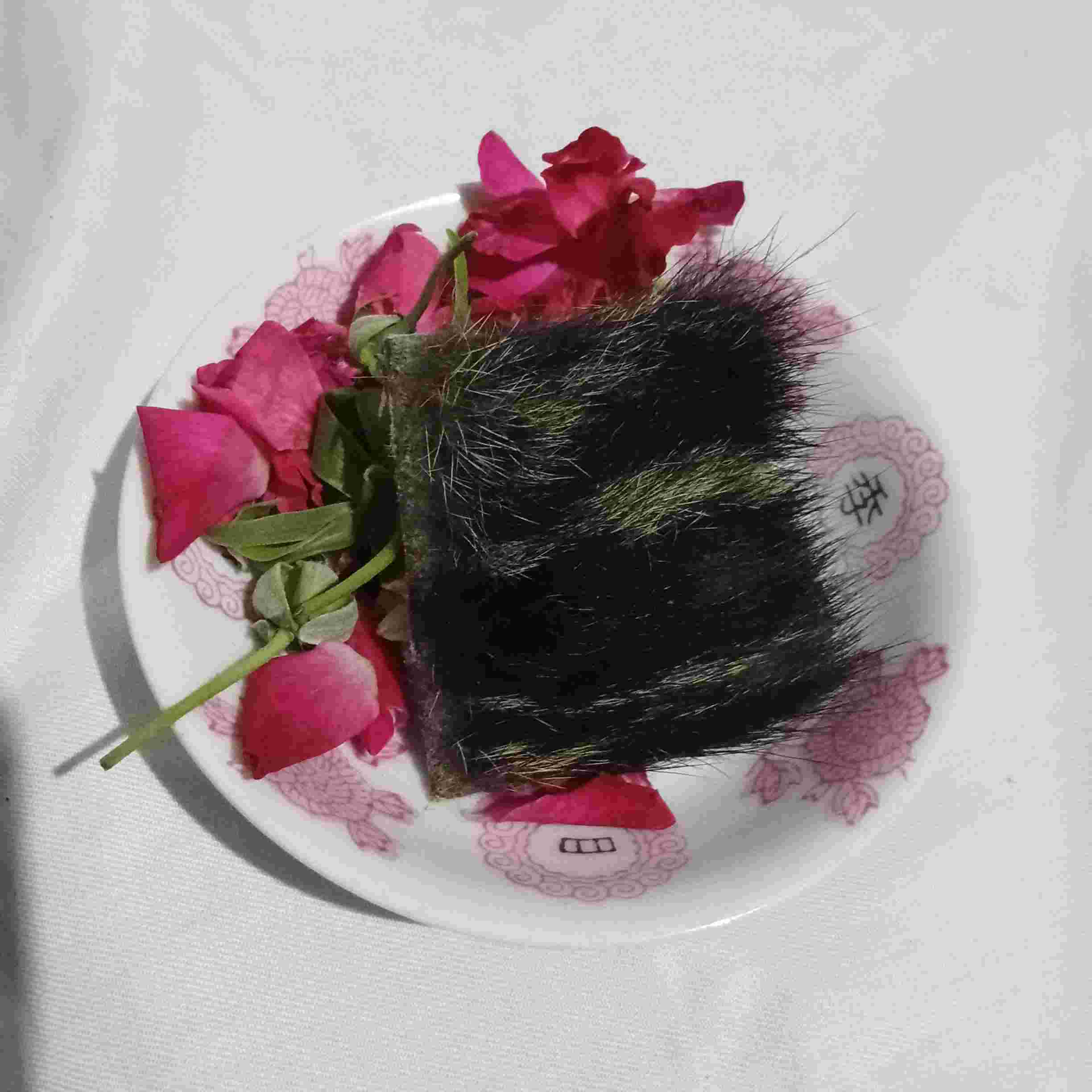 Kulit HM Lulang HM Gembolan Jalur Khusus Pemagaran Bungkem Musuh