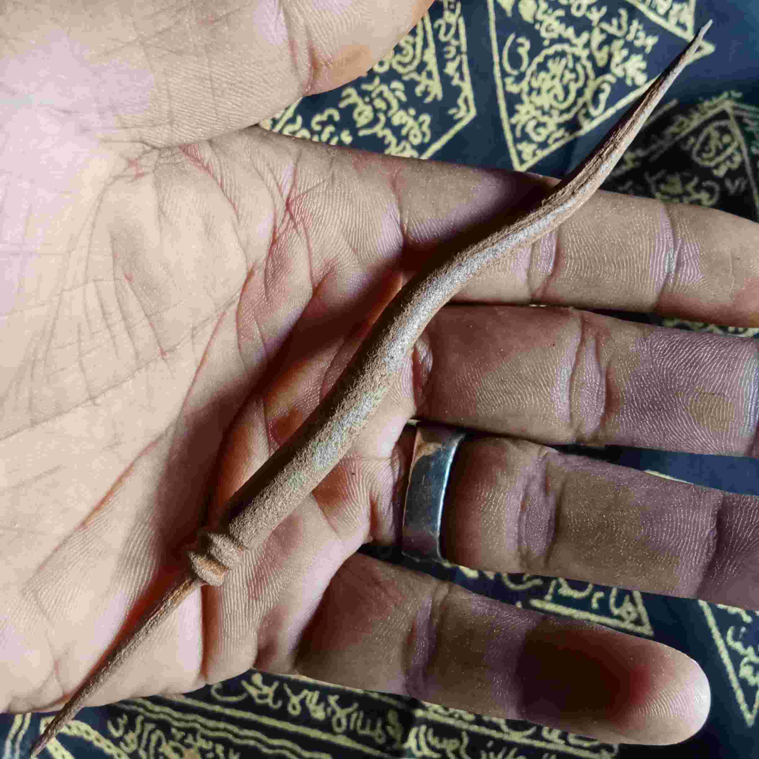 Cacing Kanil Ilineng Warih Jalur Kerejekian