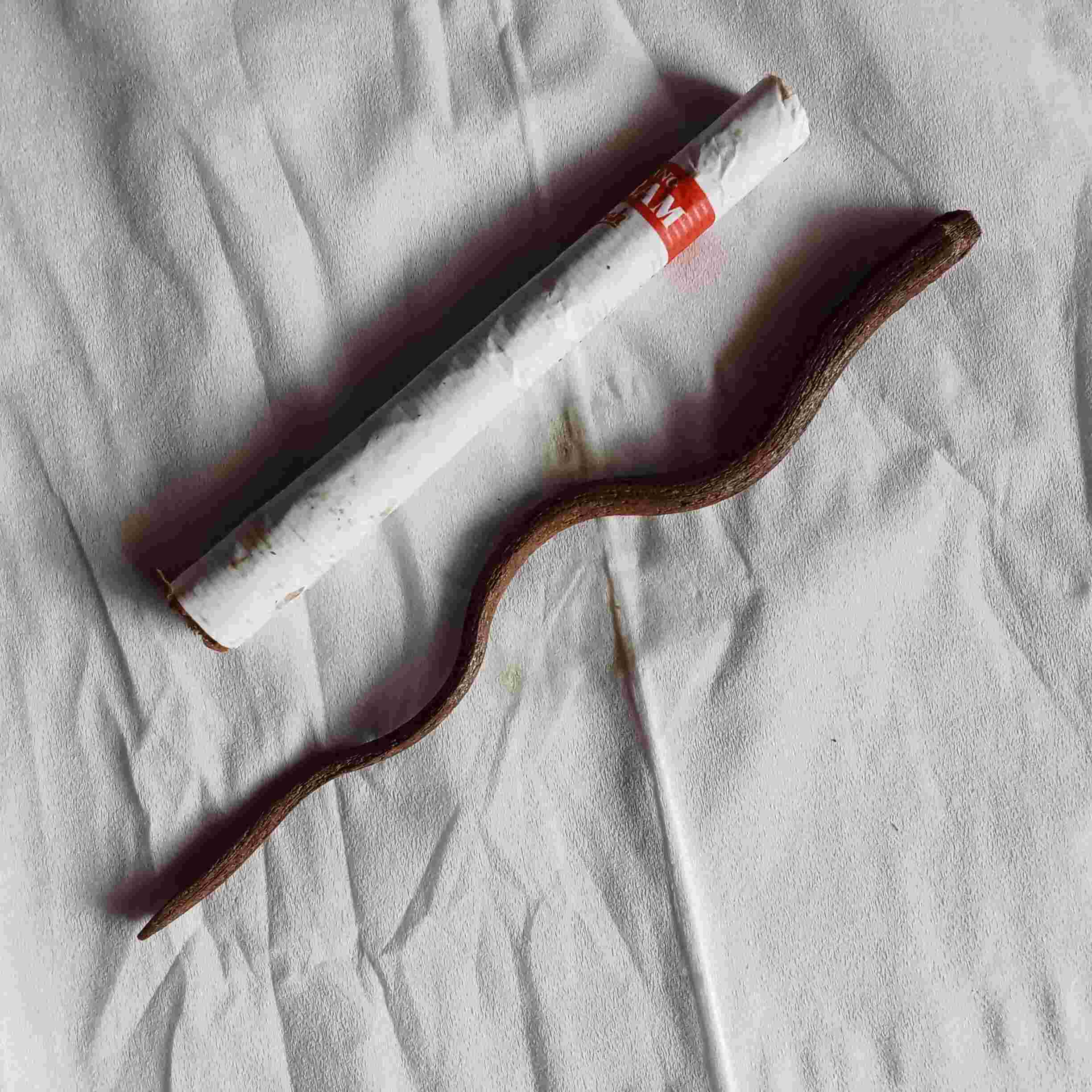 Ageman Wesiaji Cacing Kanil Jalur Kerejekian Pengusaha