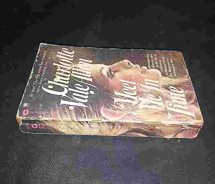 Novel Charlotte Vale Allen - Meet Me In Time - Printed in U S A - First Printing - Tahun 1978