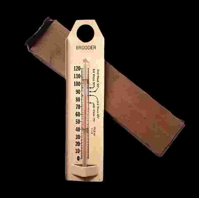 Barang Jadul Thermometer Ruangan Derajat Fahrenheit BROODER USA Antik