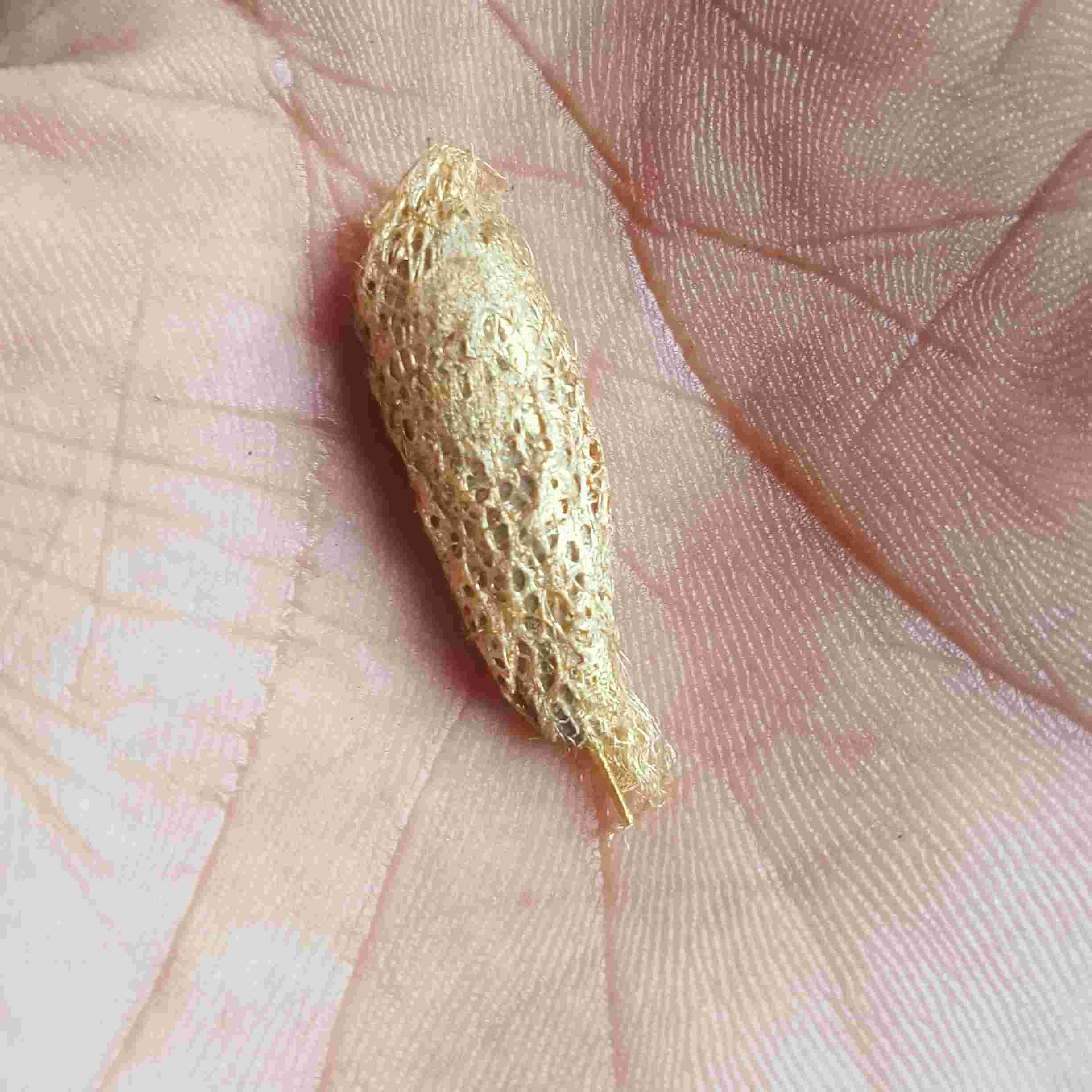 Kepopong Wesi Kuning Besi Kuning