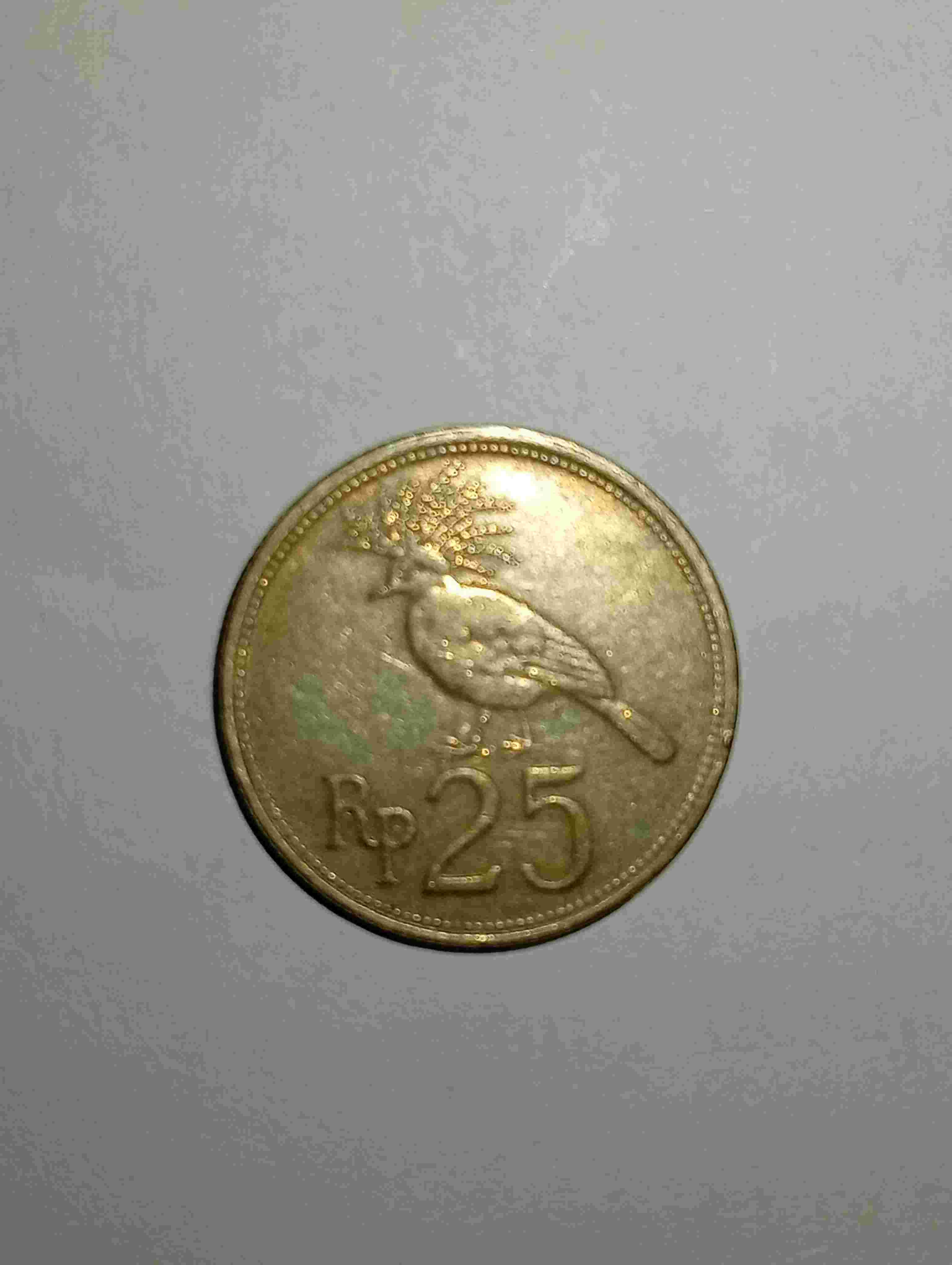 Koin Kuno 25 Rupiah Tahun 1971