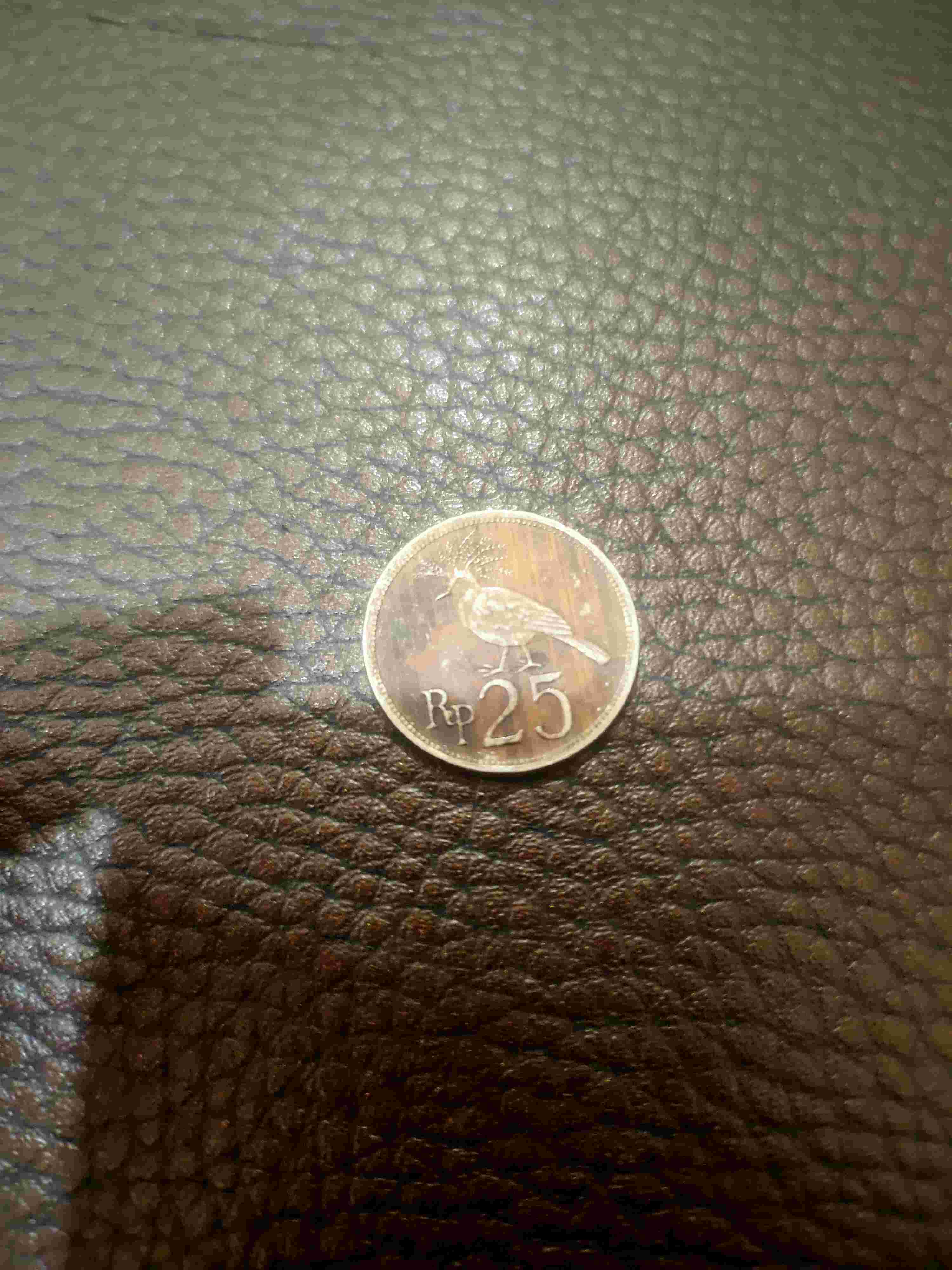 koin logam 25 rupiah