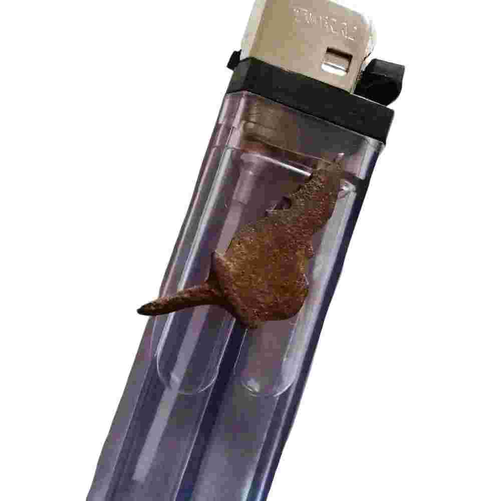 Keris Ageman Semar Kuncung Angsaryoni Aktif Tinggal Pake Untuk Penjelasan Manfaat Cara Pakai Perawatan Amalan Dll Lanjut Chat 